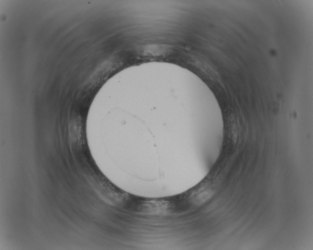 X0000074210328200609151602