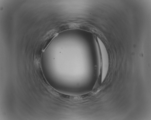 X0000074210329200609151602