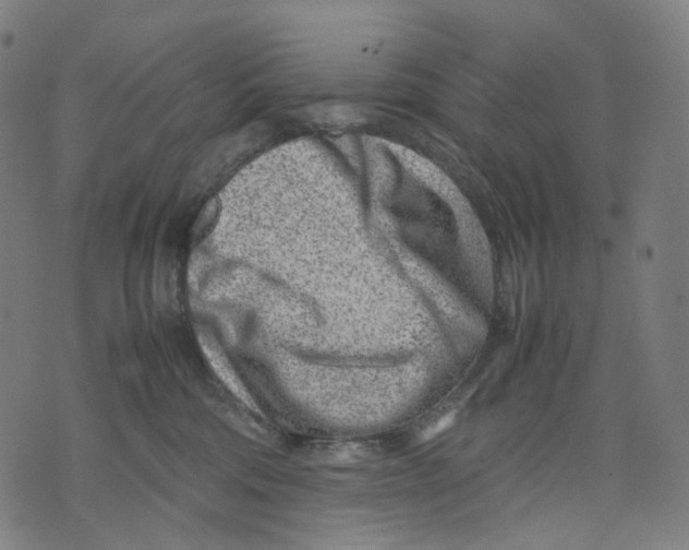 X0000074210330200609151602