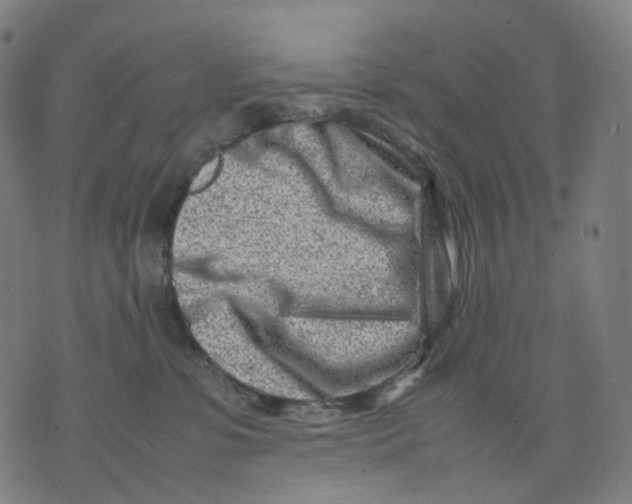 X0000074210331200609151602