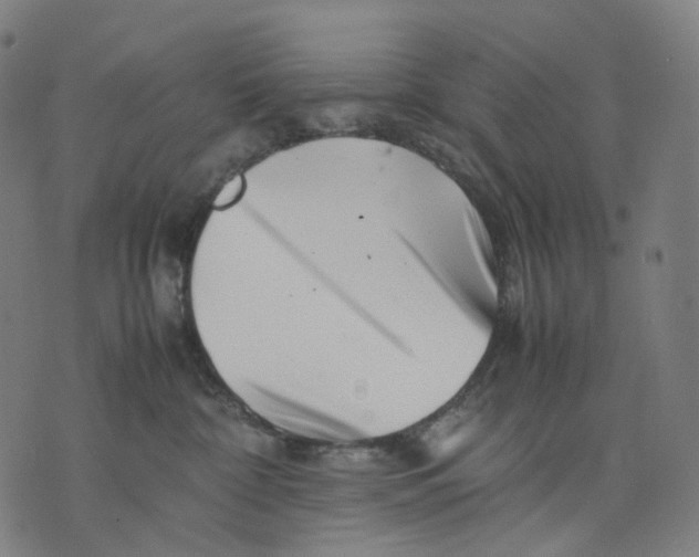 X0000074210332200609151602