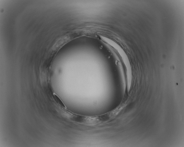 X0000074210333200609151602