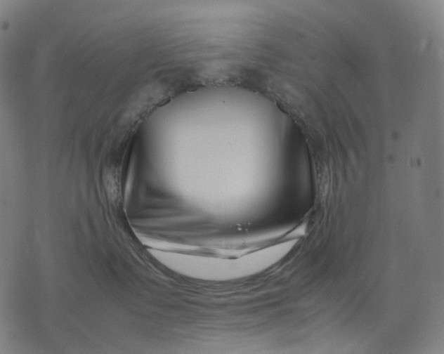 X0000074210335200609151602