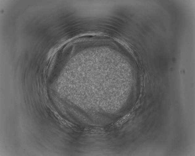 X0000074210337200609151601