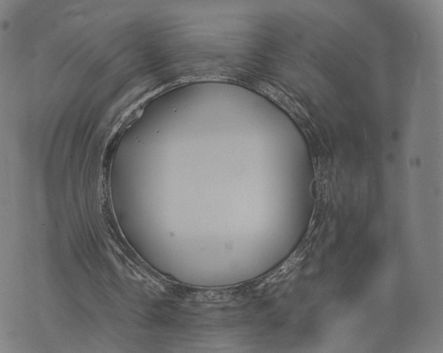 X0000074210338200609151601