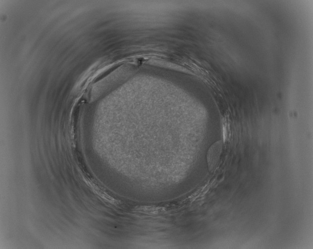 X0000074210339200609151601