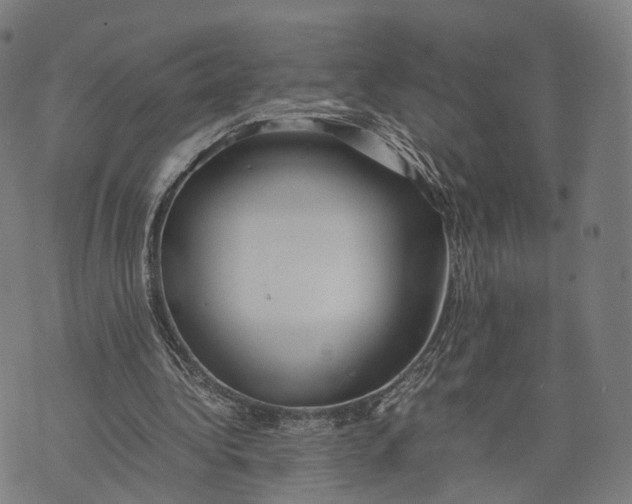 X0000074210340200609151601