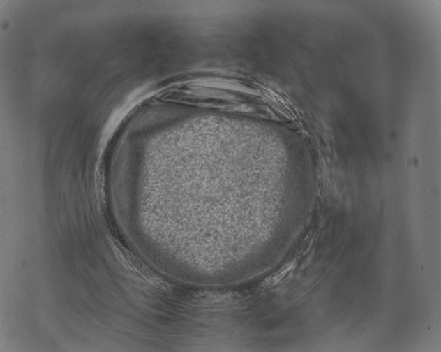 X0000074210343200609151602