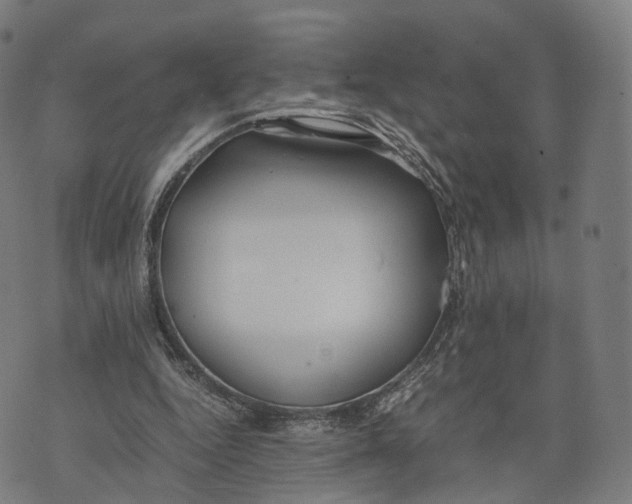 X0000074210344200609151602