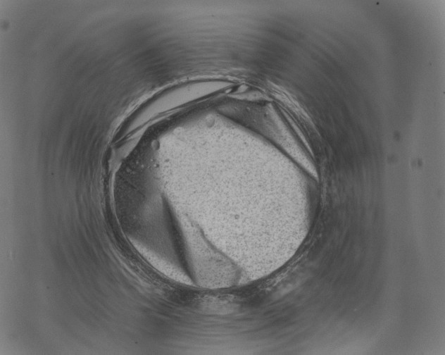 X0000074210346200609151602