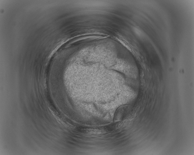 X0000074210347200609151602