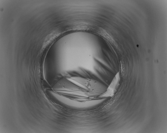 X0000074210348200609151602