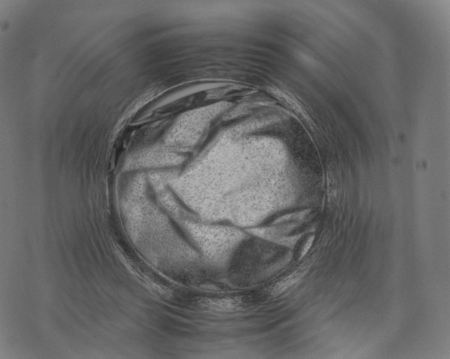 X0000074210349200609151602