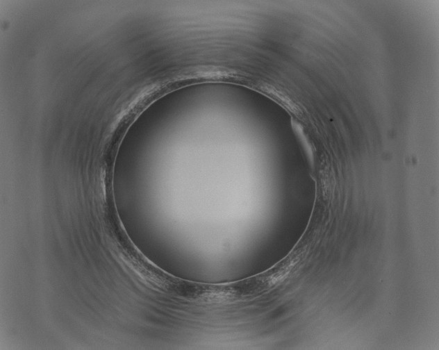 X0000074210350200609151602