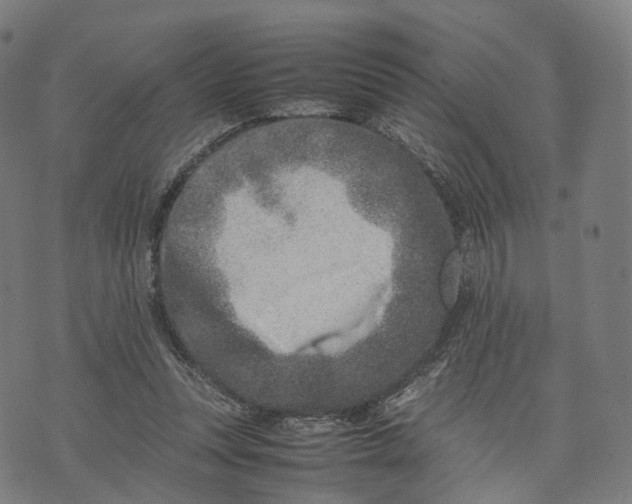 X0000074210351200609151602