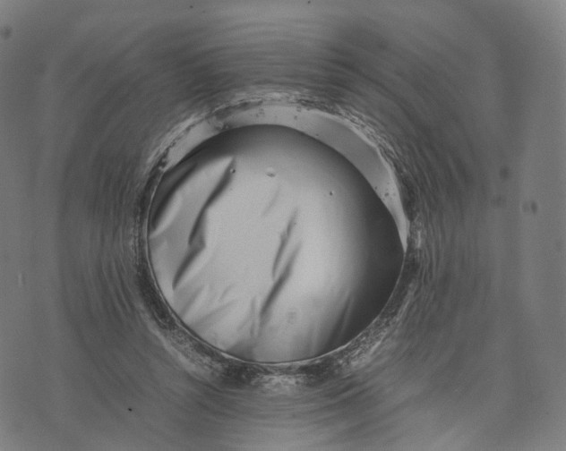 X0000074210352200609151602