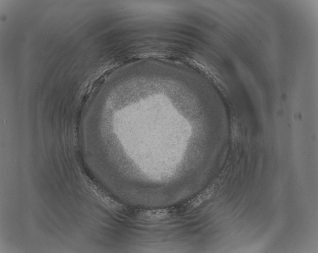 X0000074210353200609151602