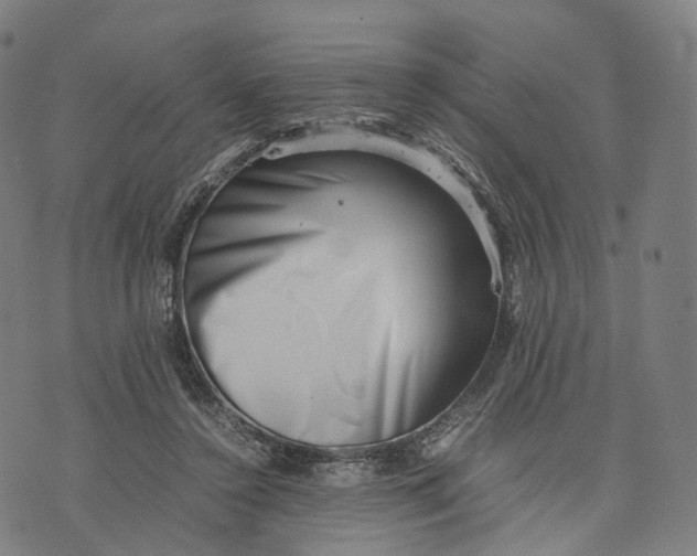 X0000074210356200609151602