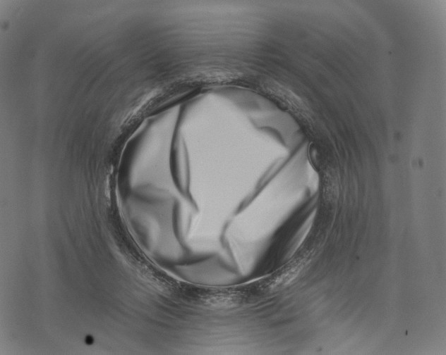 X0000074210358200609151602