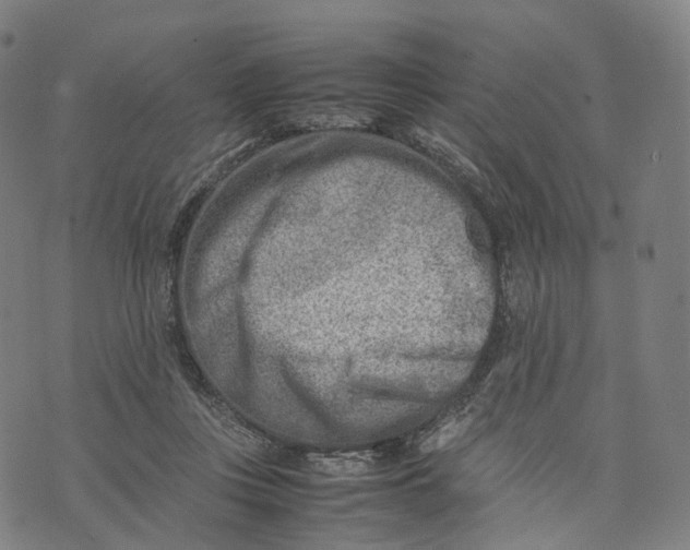 X0000074210359200609151602