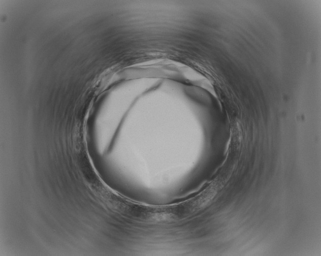 X0000074210360200609151602