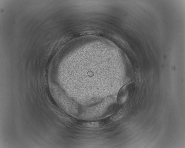 X0000074210361200609151602