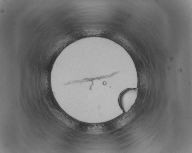 X0000074210362200609151602