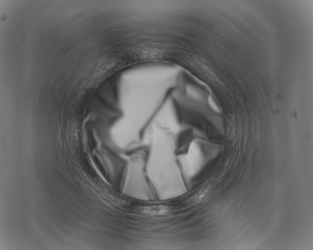 X0000074210363200609151602