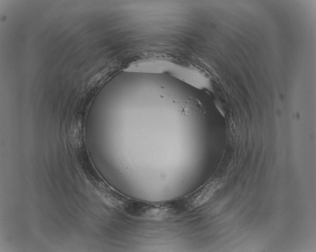 X0000074210364200609151602