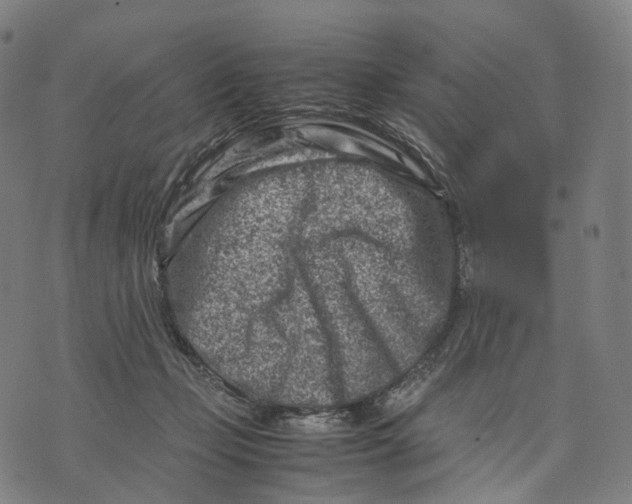 X0000074210365200609151602