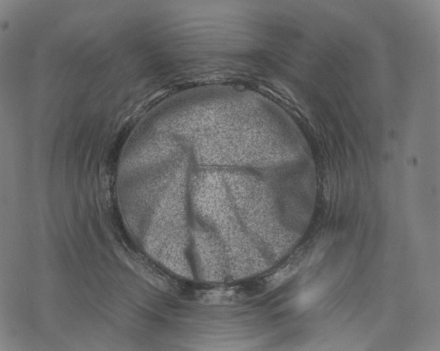 X0000074210366200609151602