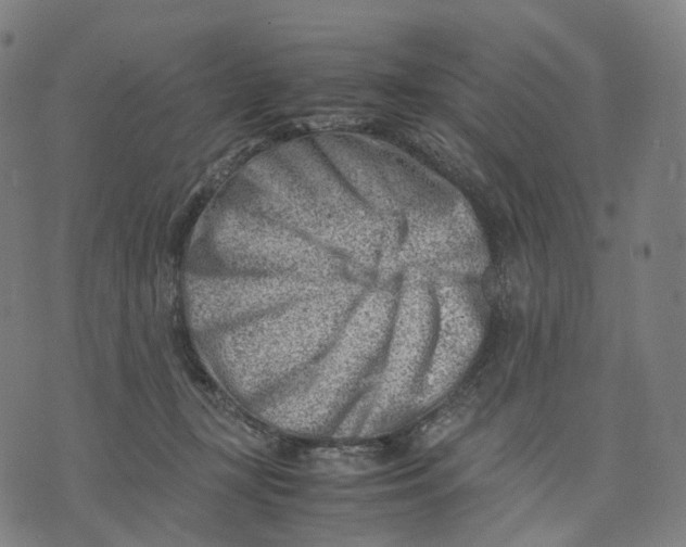 X0000074210367200609151602