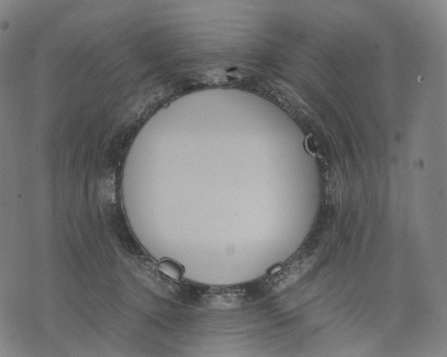 X0000074210368200609151602