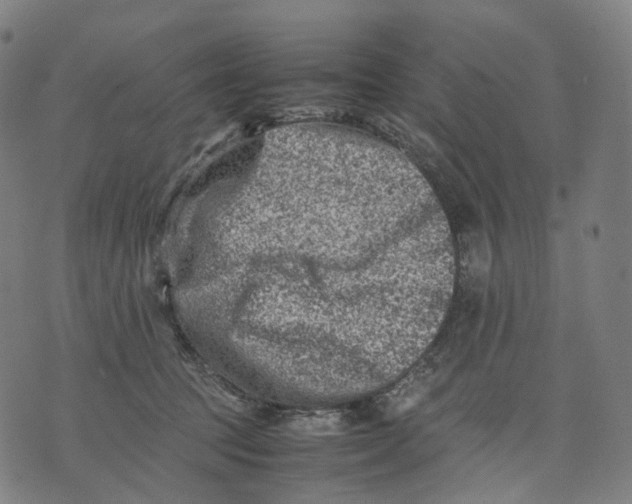 X0000074210369200609151602