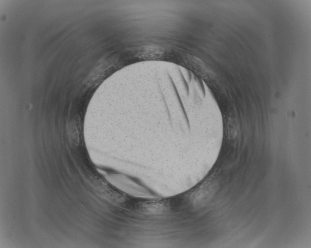 X0000074210370200609151602