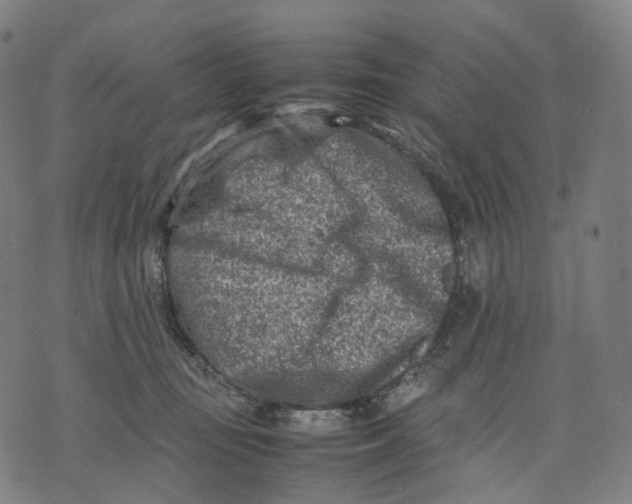 X0000074210371200609151602