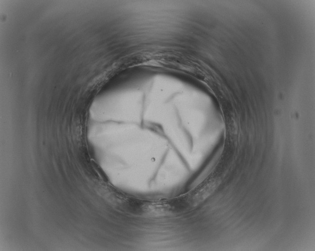 X0000074210372200609151602