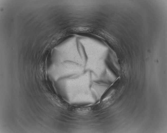 X0000074210373200609151602