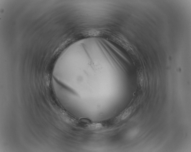 X0000074210374200609151602