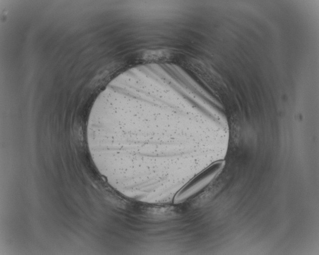 X0000074210375200609151602