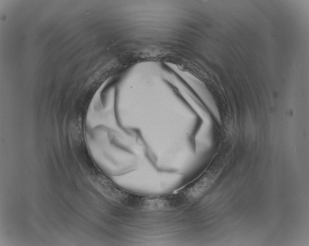 X0000074210376200609151602