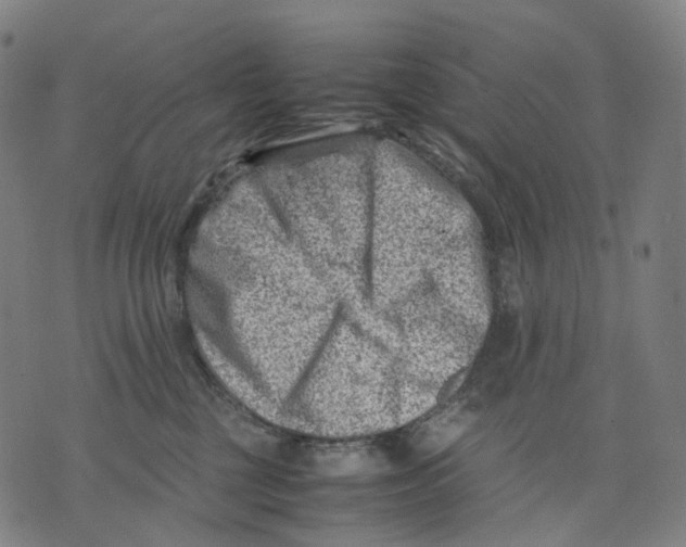 X0000074210377200609151602