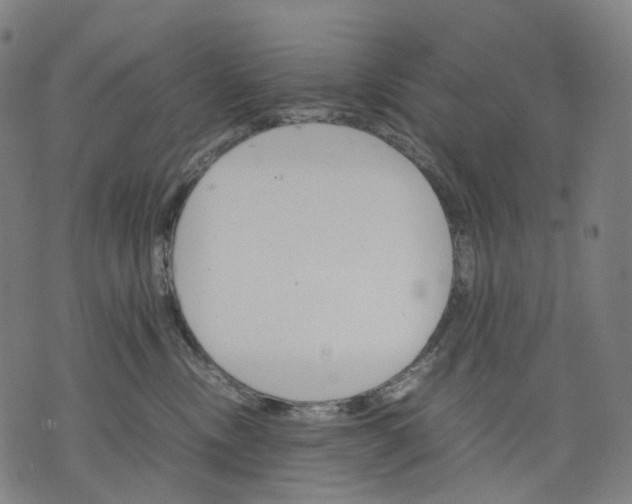 X0000074210378200609151602