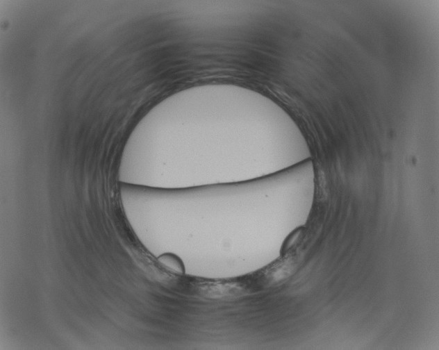 X0000074210379200609151602