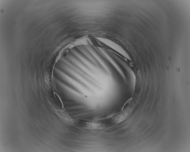 X0000074210380200609151602