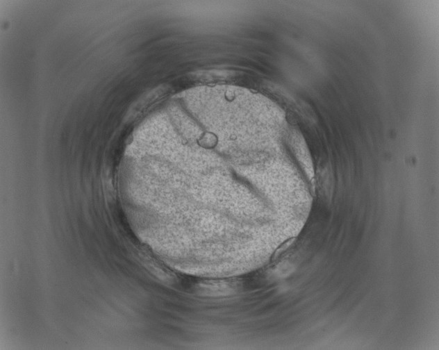 X0000074210381200609151602