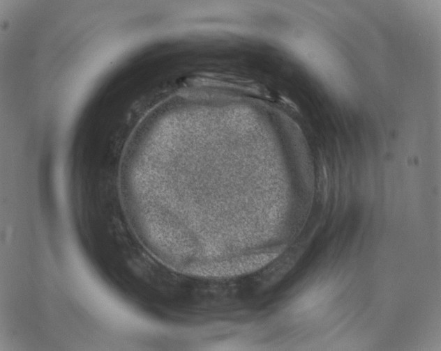 X0000074210383200609151602