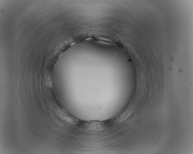 X0000074210384200609151602