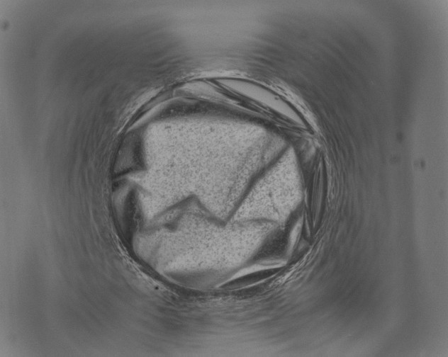 X0000074210385200609151601