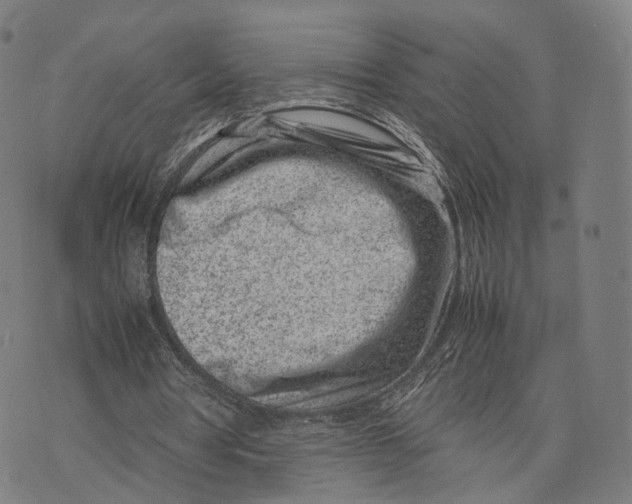 X0000074210386200609151601